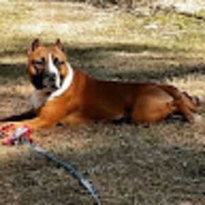 Meet your Posher, Tiffany